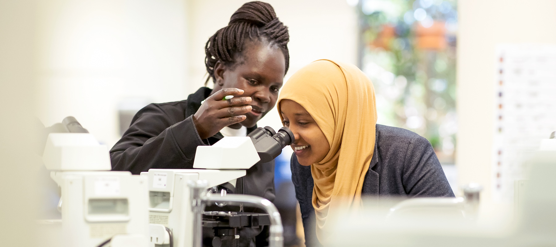 Students using lab equipment while taking classes in biology and pursuing their Associate Degree in Biology from Normandale Community College.