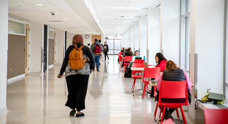 Image of Normandale undocumented students