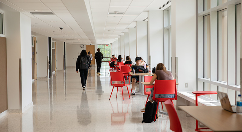 Image of students in the hall at Normandale