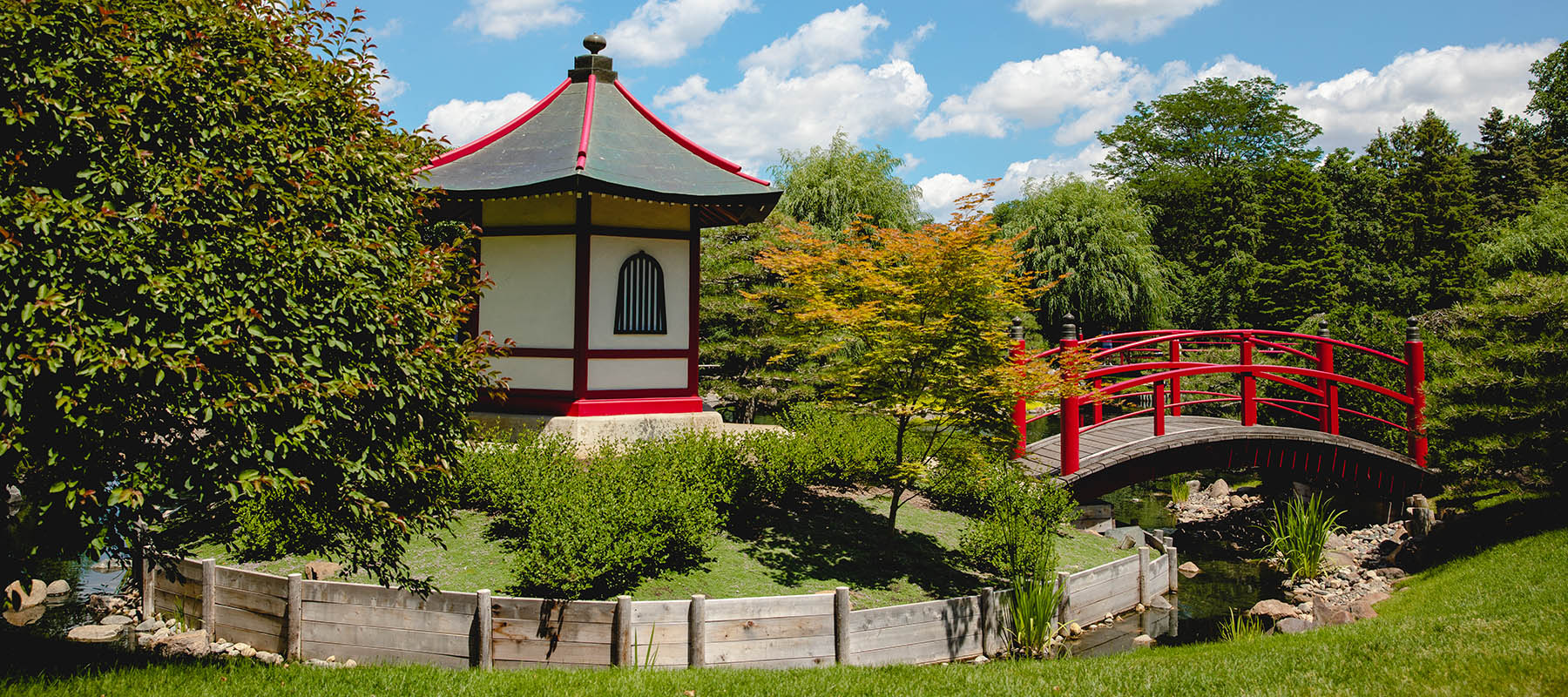 The Japanese Garden in midsummer.