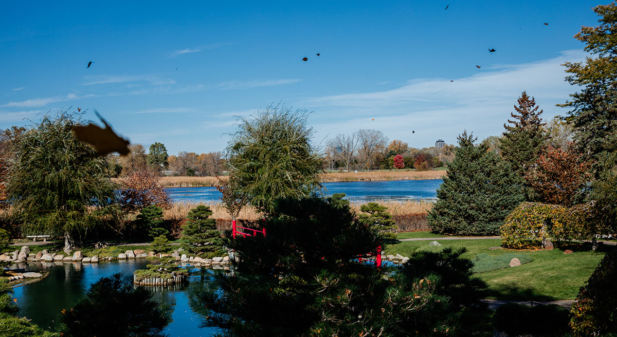 Normandale Japanese garden