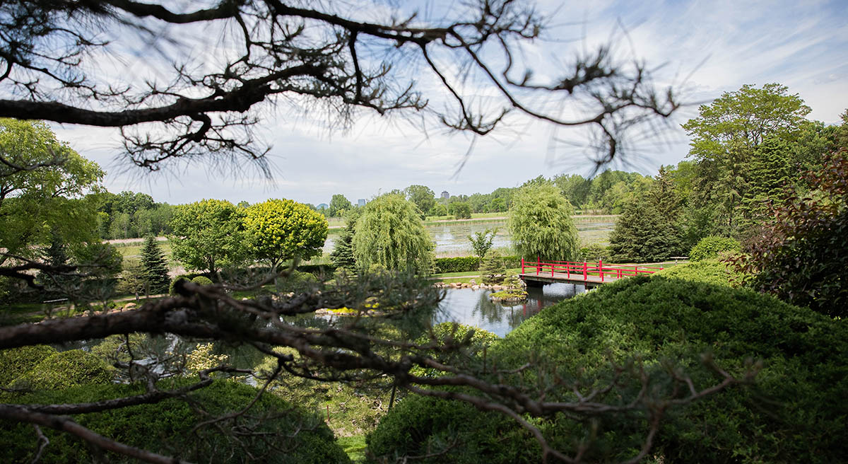 Normandale Japanese garden