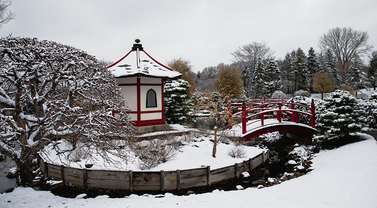 Normandale Japanese garden