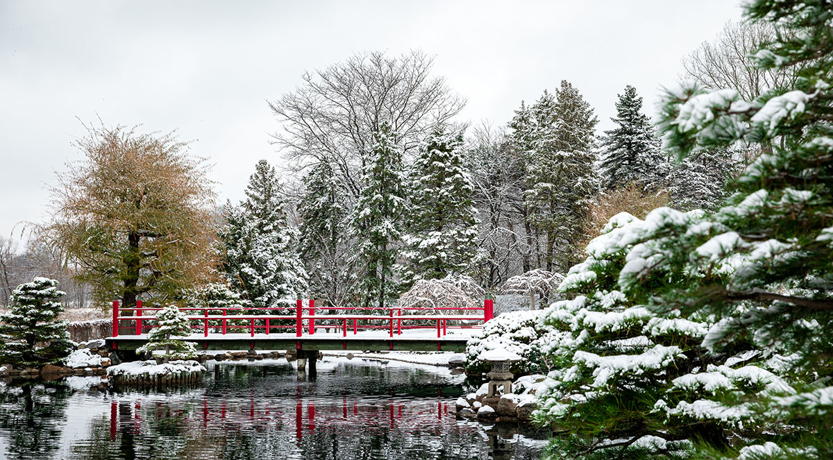 Normandale Japanese garden