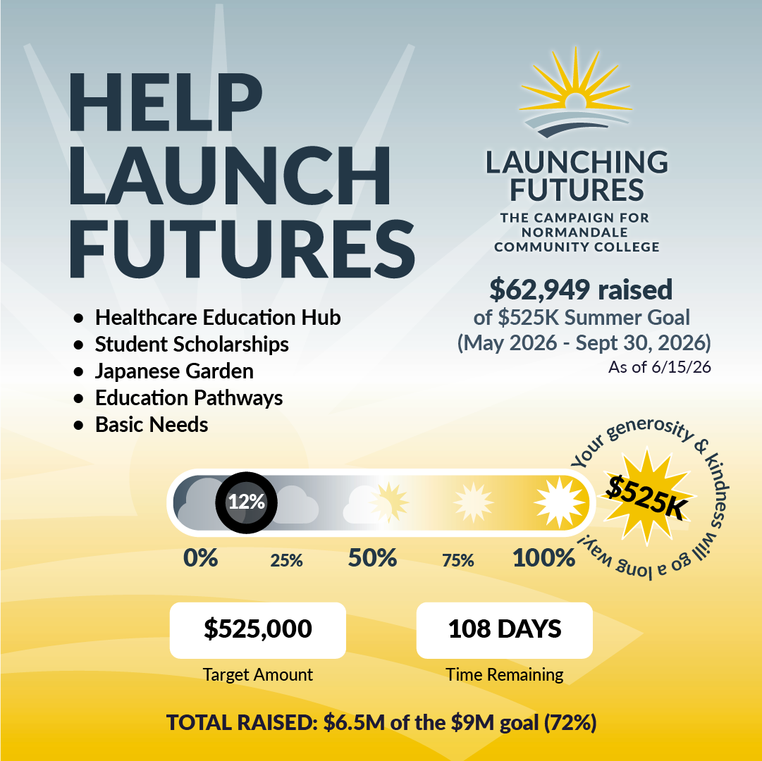 Progress chart of fundraising efforts to date