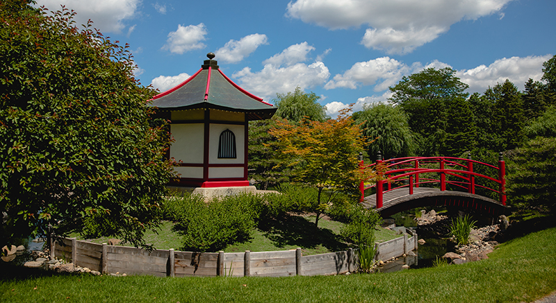  Image of the Normandale Japanese garden